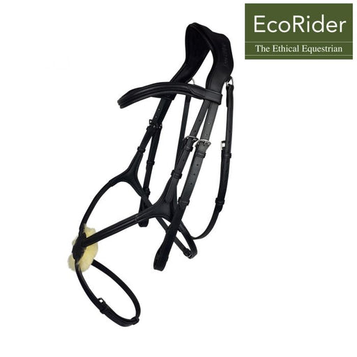 Eco Rider Freedom Grackle